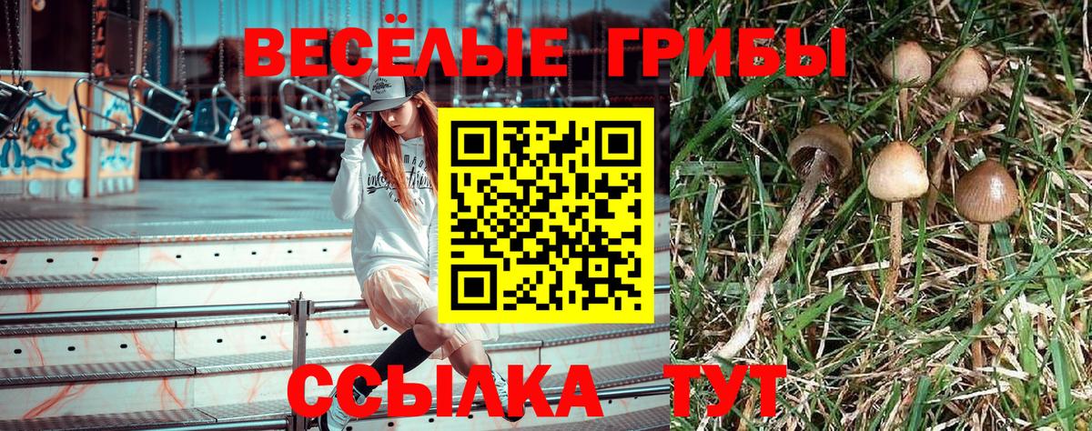 Галлюциногенные грибы прущие грибы Урюпинск